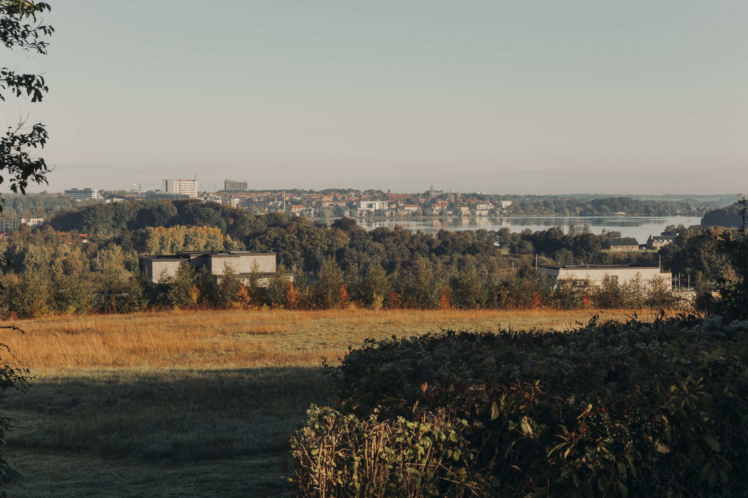 Udsigt hen over Viborg og Viborg søerne