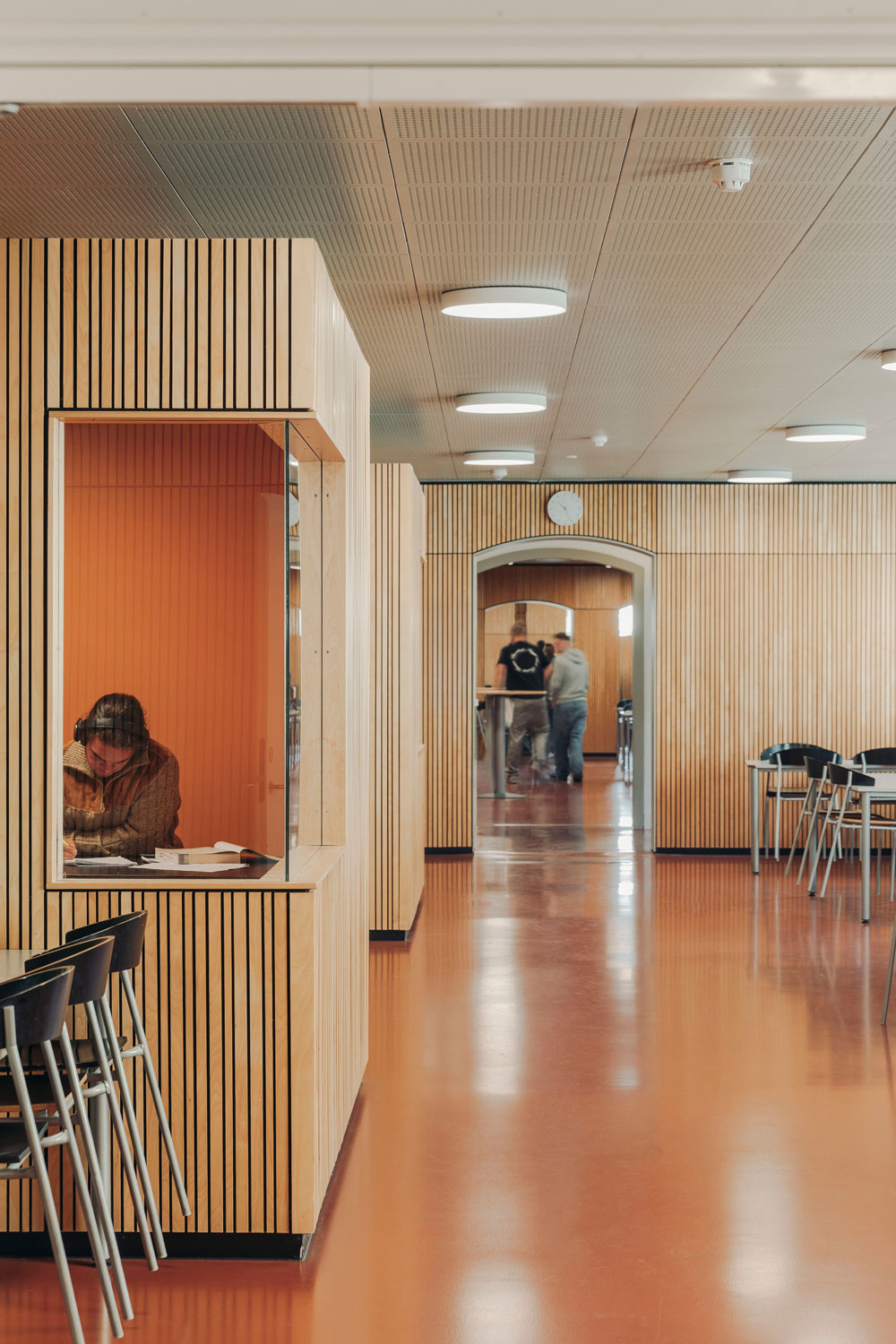 Renovering af Viborg Katadralskole